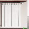 Radiatore alluminio pressofuso GLOBAL mod. VOX 600 bianco